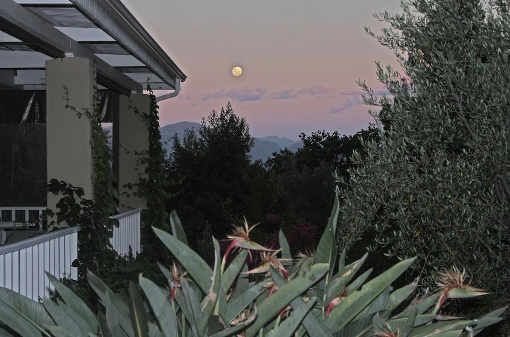 ホテルDe Langenhof Riebeek-West エクステリア 写真